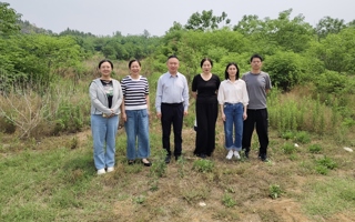 伟德国际1946官网教职工开展花山公园春游踏青活动
